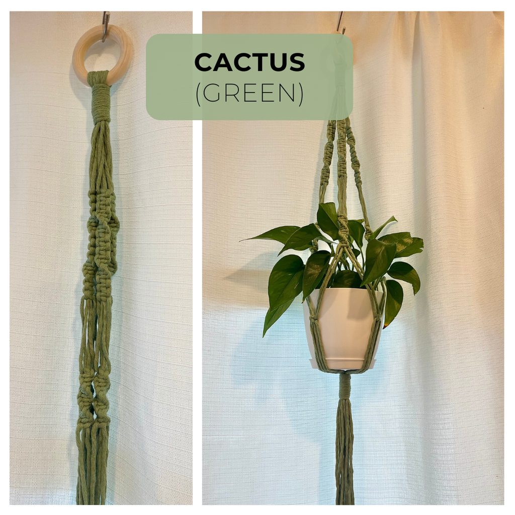 Macrame Plant Hanger | PETITE