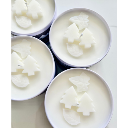 Vermont Hikes: Coconut + Soy Wax Candle | Travel Tin