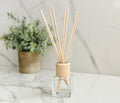 Reed Diffuser Kits: MINI | SIGNATURE Collection