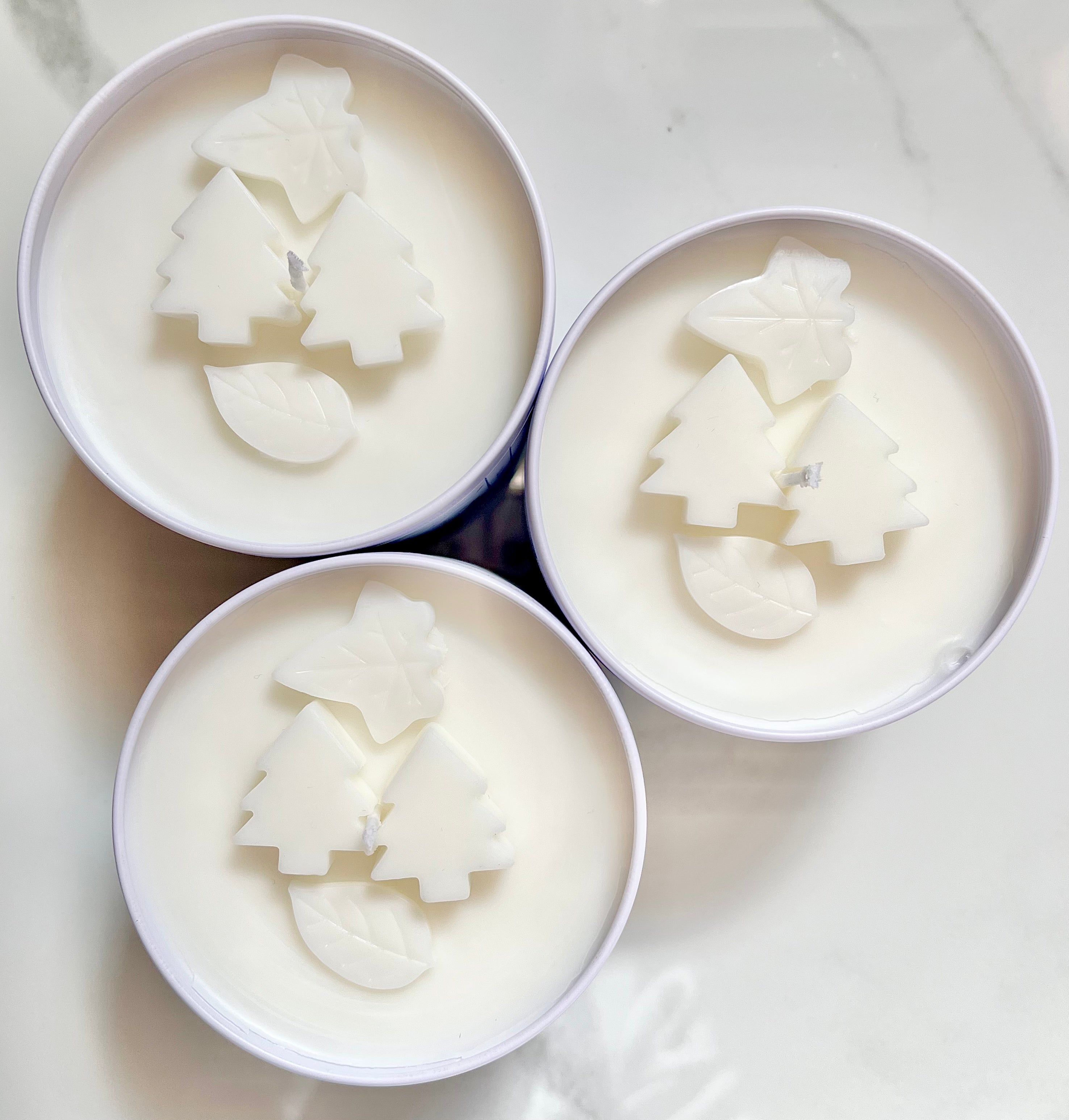 Vermont Hikes: Coconut + Soy Wax Candle | Travel Tin